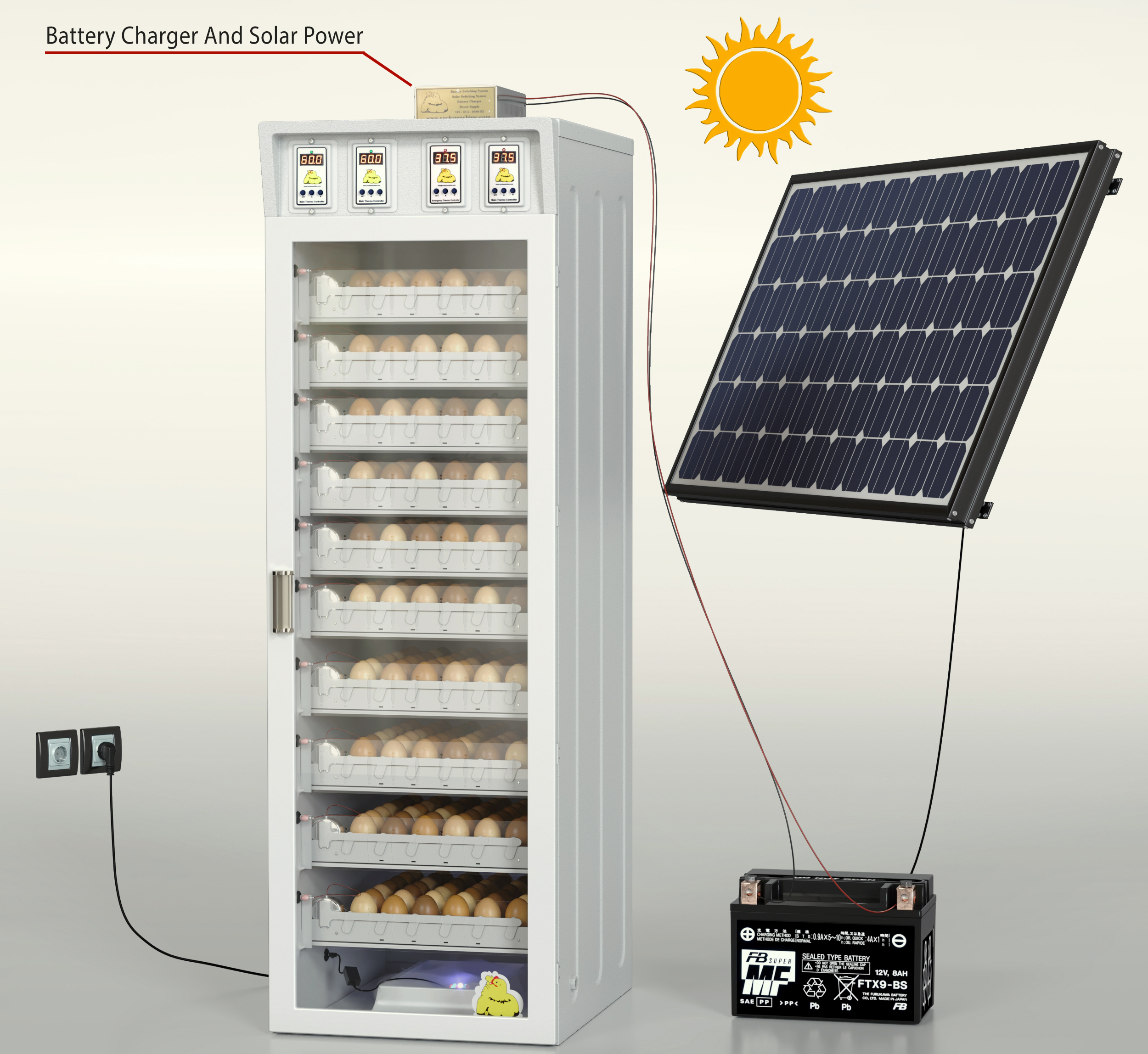 تصویر پرنده